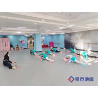 供應廊坊舞蹈PVC地板