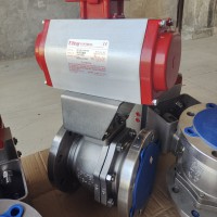 美國(guó)博雷S20、S21對(duì)夾式蝶閥，BRAY氣動(dòng)蝶閥