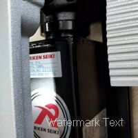 RIKEN，RIKEN電動泵